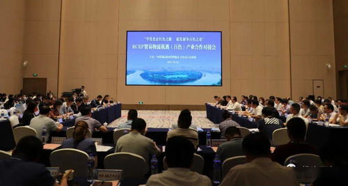 對(duì)接RCEP新機(jī)遇，共謀貿(mào)易物流新篇章——中國(guó)國(guó)際貨運(yùn)代理協(xié)會(huì)考察團(tuán)赴我市開(kāi)展產(chǎn)業(yè)合作對(duì)接